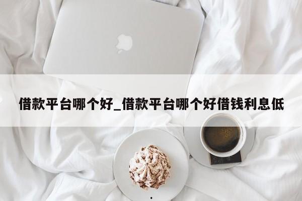 借款平台哪个好_借款平台哪个好借钱利息低