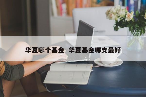 华夏哪个基金_华夏基金哪支最好