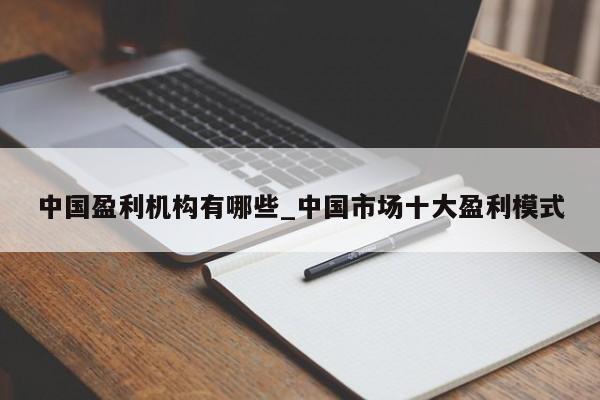 中国盈利机构有哪些_中国市场十大盈利模式