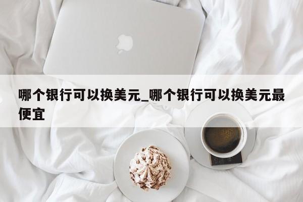 哪个银行可以换美元_哪个银行可以换美元最便宜