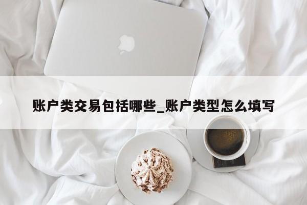账户类交易包括哪些_账户类型怎么填写