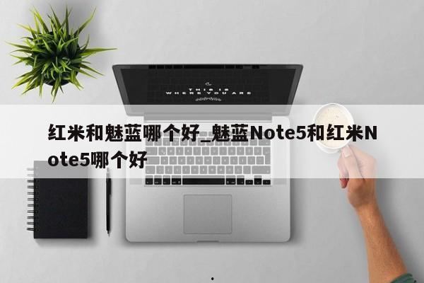 红米和魅蓝哪个好_魅蓝Note5和红米Note5哪个好
