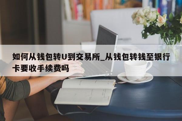 如何从钱包转U到交易所_从钱包转钱至银行卡要收手续费吗
