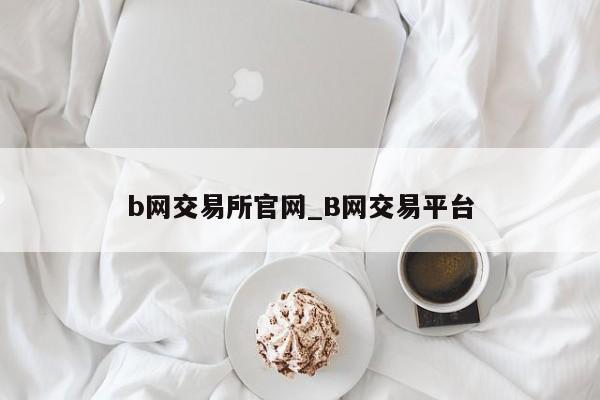 b网交易所官网_B网交易平台
