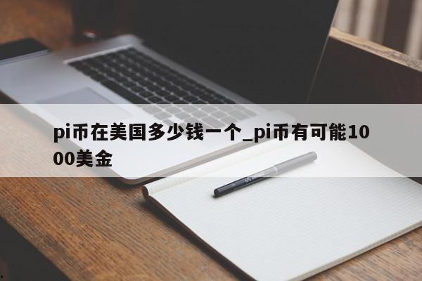 pi币在美国多少钱一个_pi币有可能1000美金