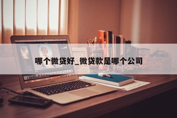 哪个微贷好_微贷款是哪个公司